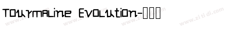 Tourmaline Evolution字体转换
